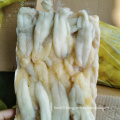 100% nw squid egg from illex squid rw